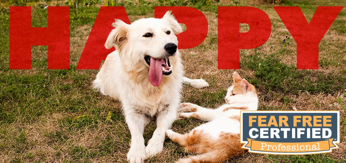 We practice fear free veterinary medicine